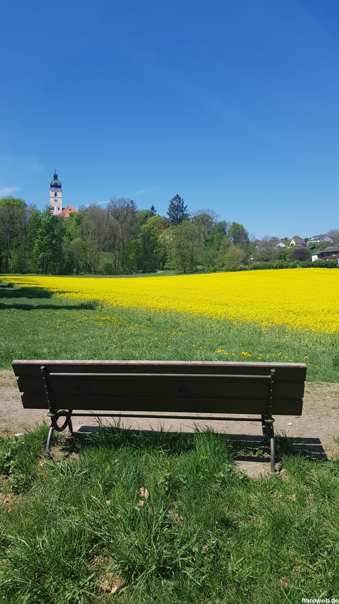 Hier fehlt noch das Bild